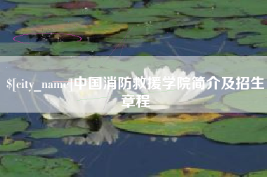 临汾中国消防救援学院简介及招生章程