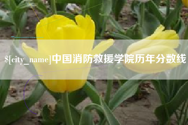 临汾中国消防救援学院历年分数线