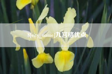 临汾九宫格优点