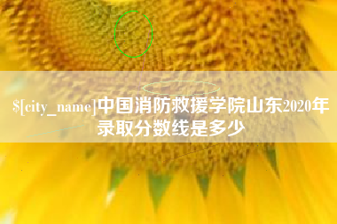 临汾中国消防救援学院山东2020年录取分数线是多少