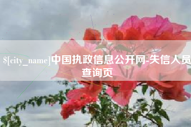 临汾中国执政信息公开网-失信人员查询页