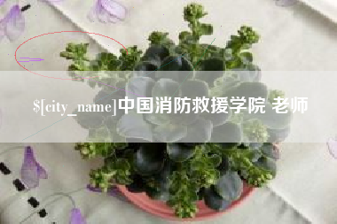 临汾中国消防救援学院 老师