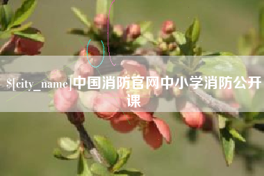 临汾中国消防官网中小学消防公开课
