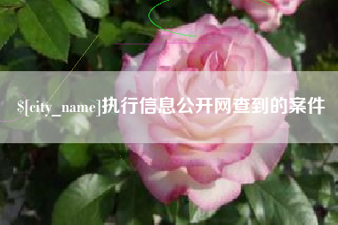 临汾执行信息公开网查到的案件