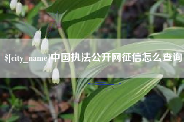 临汾中国执法公开网征信怎么查询
