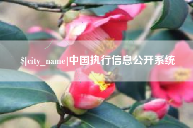 临汾中国执行信息公开系统
