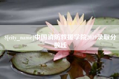临汾中国消防救援学院2019录取分数线