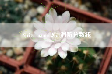 临汾2021消防分数线