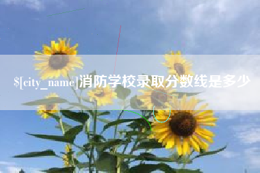 临汾消防学校录取分数线是多少