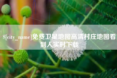 临汾免费卫星地图高清村庄地图看到人实时下载
