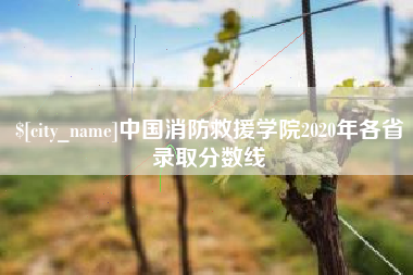 临汾中国消防救援学院2020年各省录取分数线