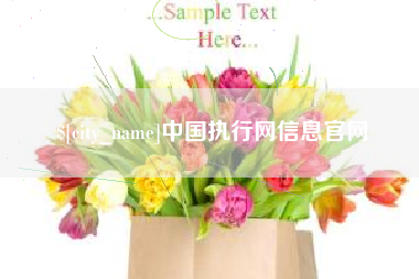 临汾中国执行网信息官网