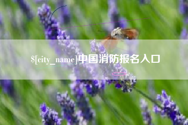 临汾中国消防报名入口