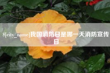 临汾我国消防日是哪一天消防宣传日