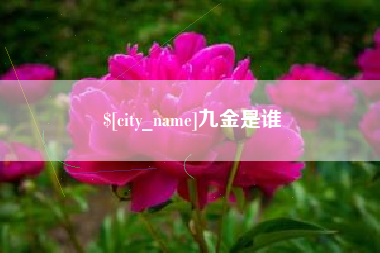 临汾九金是谁