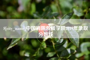 临汾中国消防救援学院2019年录取分数线