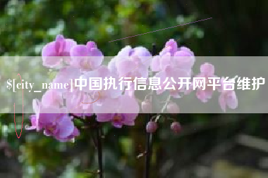 临汾中国执行信息公开网平台维护