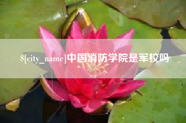 临汾中国消防学院是军校吗