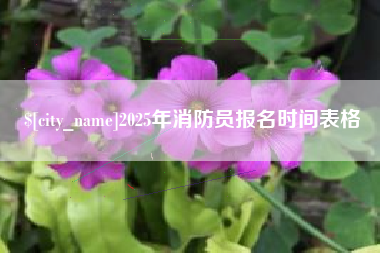 临汾2025年消防员报名时间表格