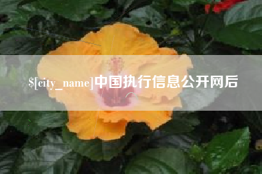 临汾中国执行信息公开网后