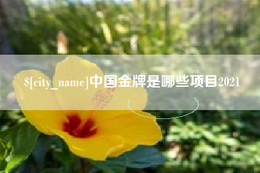 临汾中国金牌是哪些项目2021