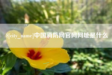 临汾中国消防网官网网址是什么