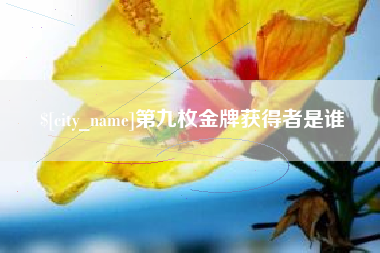 临汾第九枚金牌获得者是谁