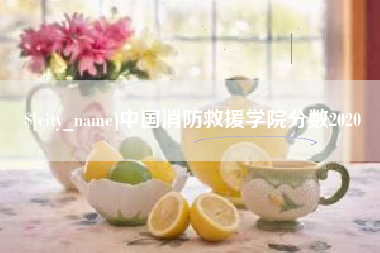 临汾中国消防救援学院分数2020