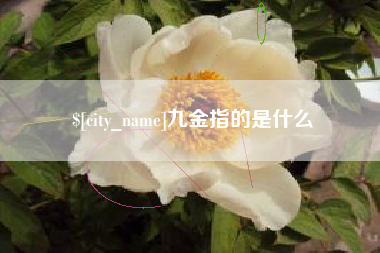 临汾九金指的是什么