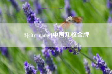 临汾中国九枚金牌