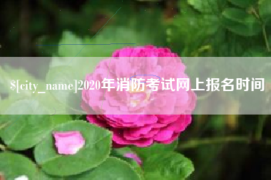 临汾2020年消防考试网上报名时间