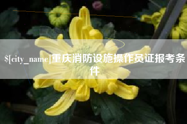 临汾重庆消防设施操作员证报考条件