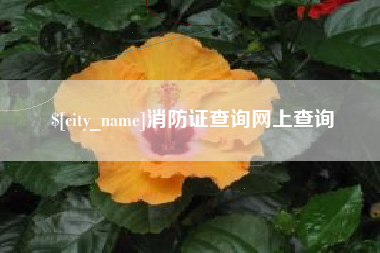 临汾消防证查询网上查询