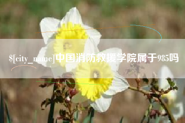 临汾中国消防救援学院属于985吗