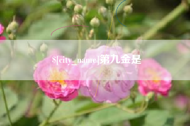 临汾第九金是
