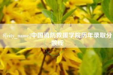临汾中国消防救援学院历年录取分数线