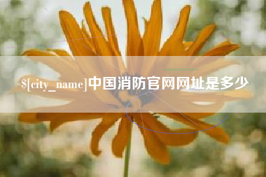 临汾中国消防官网网址是多少