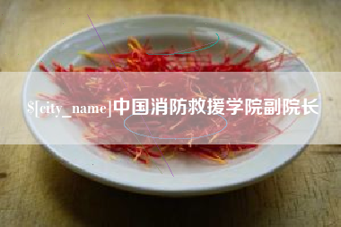 临汾中国消防救援学院副院长