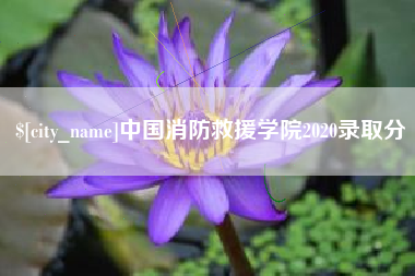 临汾中国消防救援学院2020录取分