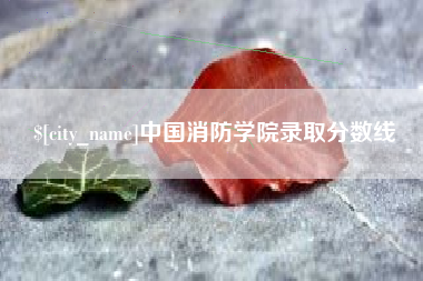 临汾中国消防学院录取分数线