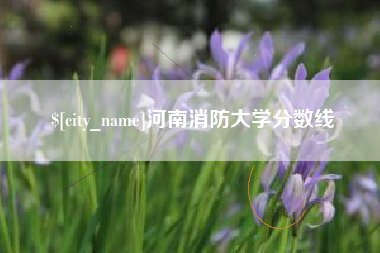 临汾河南消防大学分数线