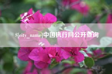 临汾中国执行网公开查询