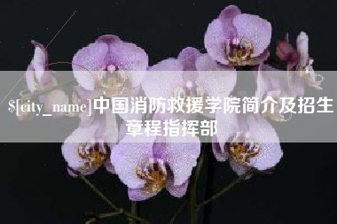临汾中国消防救援学院简介及招生章程指挥部