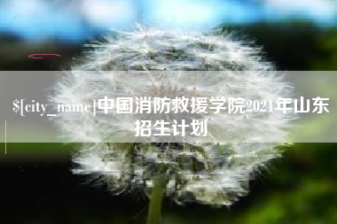 临汾中国消防救援学院2021年山东招生计划