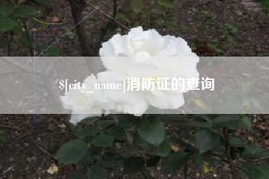临汾消防证的查询