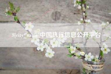 临汾中国执行信息公开平台