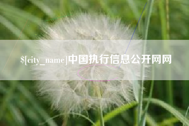 临汾中国执行信息公开网网