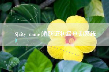 临汾消防证初级查询系统