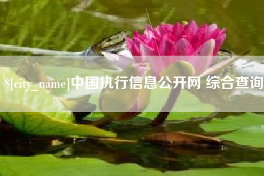 临汾中国执行信息公开网 综合查询