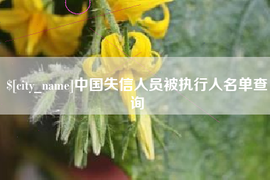 临汾中国失信人员被执行人名单查询
